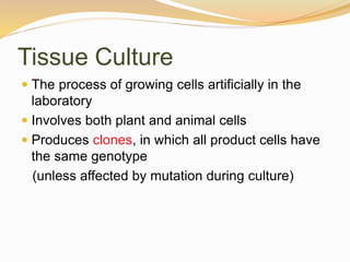 Tissue Culture
 The process of growing cells artificially in the
laboratory
 Involves both plant and animal cells
 Produces clones, in which all product cells have
the same genotype
(unless affected by mutation during culture)
 