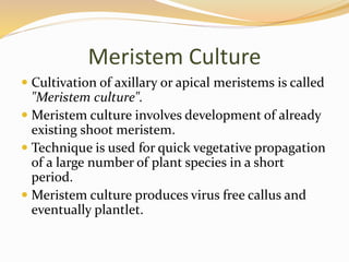 Meristem Culture
 Cultivation of axillary or apical meristems is called
"Meristem culture".
 Meristem culture involves development of already
existing shoot meristem.
 Technique is used for quick vegetative propagation
of a large number of plant species in a short
period.
 Meristem culture produces virus free callus and
eventually plantlet.
 