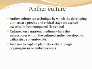 Anther culture
 Anther culture is a technique by which the developing
anthers at a precise and critical stage are excised
aseptically from unopened flower bud
 Cultured on a nutrient medium where the
microspores within the cultured anther develop into
callus tissue or embryoids
 Give rise to haploid plantlets either though
organogenesis or embryogenesis.
 