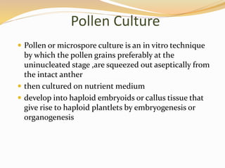 Pollen Culture
 Pollen or microspore culture is an in vitro technique
by which the pollen grains preferably at the
uninucleated stage ,are squeezed out aseptically from
the intact anther
 then cultured on nutrient medium
 develop into haploid embryoids or callus tissue that
give rise to haploid plantlets by embryogenesis or
organogenesis
 