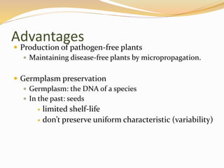 Advantages
 Production of pathogen-free plants
 Maintaining disease-free plants by micropropagation.
 Germplasm preservation
 Germplasm: the DNA of a species
 In the past: seeds
 limited shelf-life
 don’t preserve uniform characteristic (variability)
 