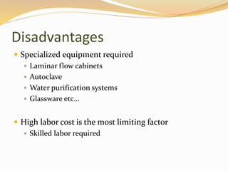 Disadvantages
 Specialized equipment required
 Laminar flow cabinets
 Autoclave
 Water purification systems
 Glassware etc…
 High labor cost is the most limiting factor
 Skilled labor required
 