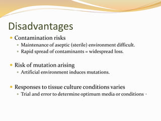 Disadvantages
 Contamination risks
 Maintenance of aseptic (sterile) environment difficult.
 Rapid spread of contaminants = widespread loss.
 Risk of mutation arising
 Artificial environment induces mutations.
 Responses to tissue culture conditions varies
 Trial and error to determine optimum media or conditions。
 