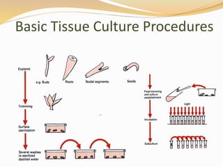 Basic Tissue Culture Procedures
 