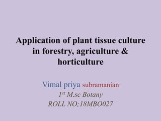 Application of plant tissue culture
in forestry, agriculture &
horticulture
Vimal priya subramanian
1st M.sc Botany
ROLL NO;18MBO027
 