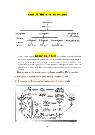 Totipotency or Plant Tissue Culture Detailed Notes | PDF