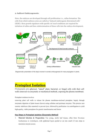 Totipotency or Plant Tissue Culture Detailed Notes | PDF
