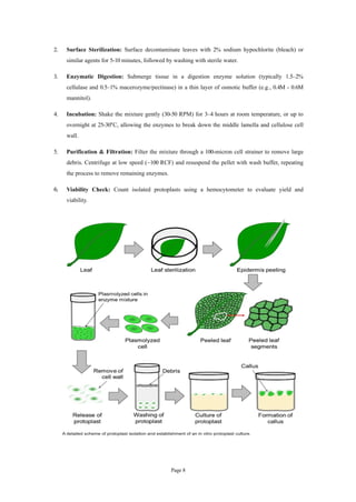 Totipotency or Plant Tissue Culture Detailed Notes | PDF
