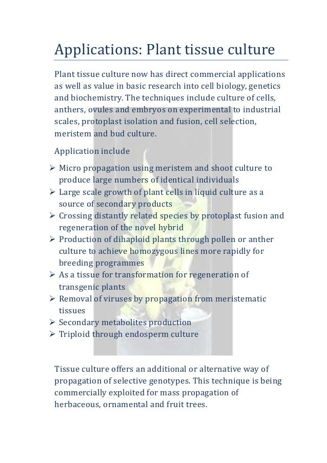 Plant tissue culture