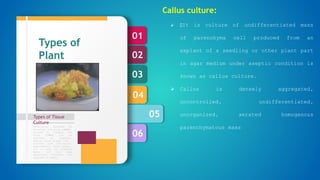 06
05
04
03
02
01
Types of Tissue
Culture
Formulation designed by
Murashige and Skoog (1962),
revised by Linsmair and
Skoog (1965) can be
regarded as standard.
Special plant groups like
conifers have nutritional
requirements, which appear,
not to meet by standard
media, and then some
additional nutrients are
required in media.
Types of
Plant
Tissue
culture
Callus culture:
 It is culture of undifferentiated mass
of parenchyma cell produced from an
explant of a seedling or other plant part
in agar medium under aseptic condition is
known as callus culture.
 Callus is densely aggregated,
uncontrolled, undifferentiated,
unorganized, aerated homogenous
parenchymatous mass
 