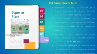 06
05
04
03
02
01
Types of Tissue
Culture
Formulation designed by
Murashige and Skoog (1962),
revised by Linsmair and
Skoog (1965) can be
regarded as standard.
Special plant groups like
conifers have nutritional
requirements, which appear,
not to meet by standard
media, and then some
additional nutrients are
required in media.
Types of
Plant
Tissue
culture
Cell Suspension Culture:
 Suspension culture is defined as a
uniform suspension of separate cells in
liquid medium where agar is not used.
 In this medium, callus fragments are
transferred to liquid medium and agitated
continuously to keep the cell alive and
separate.
 Agitation is also achieved by rotary
shaker attached within the BOD incubator
at a rate of 50 to 160 rpm.
 This culture technique is used to study
the morphological and biochemical changes
during their growth and developmental
 