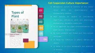 06
05
04
03
02
01
Types of Tissue
Culture
Formulation designed by
Murashige and Skoog (1962),
revised by Linsmair and
Skoog (1965) can be
regarded as standard.
Special plant groups like
conifers have nutritional
requirements, which appear,
not to meet by standard
media, and then some
additional nutrients are
required in media.
Types of
Plant
Tissue
culture
Cell Suspension Culture Importance:
 Suspension culture is consists of only single
cells which are physiologically and
biochemically uniform.
 This culture is capable of contributing
significant information about cell physiology,
biochemistry, metabolic events etc.
 It is important for plant biotransformation and
plant genetic engineering.
 No toxic products are formed with this culture
technique.
 It helps for induction in somatic embryos and
shoots.
 It helps in in-vitro mutagenesis and selection
of mutants.
 