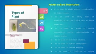 10
09
08
07
Types of Tissue
Culture
Formulation designed by
Murashige and Skoog (1962),
revised by Linsmair and
Skoog (1965) can be
regarded as standard.
Special plant groups like
conifers have nutritional
requirements, which appear,
not to meet by standard
media, and then some
additional nutrients are
required in media.
Types of
Plant
Tissue
culture
Anther culture Importance:
 It is used to study genetic recombination
in higher plants.
 It is used to study mode of
differentiation from single cell to whole
organisms.
 It is used to study of factor
controlling pollen embryogenesis of
higher plants.
 It is used for mutation studies.
 It is used for hybrid development.
 It is used for genome mapping.
 It is used for formation of double
 