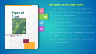 10
09
08
07
Types of Tissue
Culture
Formulation designed by
Murashige and Skoog (1962),
revised by Linsmair and
Skoog (1965) can be
regarded as standard.
Special plant groups like
conifers have nutritional
requirements, which appear,
not to meet by standard
media, and then some
additional nutrients are
required in media.
Types of
Plant
Tissue
culture
Protoplast Culture Importance:
 This technique is used to study Morphogenesis.
 This technique is used to study Photosynthesis.
 It helps in gene transfer.
 It helps in study of cell wall formation and
their osmotic behaviour.
 It helps in crop improvement through somatic
hybridization.
 Protoplast cells also can regenerate into whole
plants.
 It develops novel hybrid plants through
protoplast fusion.
 