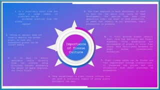 2. Taking an explant does not
usually destroy the mother
plant, so rare and
endangered plants can be
cloned safely
3. It is easy to select
desirable traits directly
from the culture setup
(invitro) thereby decreasing
the amount of space required,
for field trials
7. Plant tissue banks can be frozen and
then regenerated through tissueculture.
It preserves the pollen and cell
collections from which plantsmay be
propagated.
1. In a relatively short time and
space a large number of
plantlets can be
produced starting from the
single
explant
5. The time required is much shortened, no need
to wait for the whole life cycle of seed
development. For species that have long
generation time, low level of seed production,
or seeds that readily do not germinate, rapid
propagation is possible
6. In vitro growing plants usually
free, from the bacterial and fungal
diseases. Virus eradication and
maintenance of plants in virus free
state. This facilitates movement of
plant across international
boundaries.
4. Once established, a plant tissue culture line
can give a continuous supply of young plants
throughout the year
Importance
of Tissue
Culture
 