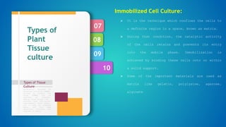 10
09
08
07
Types of Tissue
Culture
Formulation designed by
Murashige and Skoog (1962),
revised by Linsmair and
Skoog (1965) can be
regarded as standard.
Special plant groups like
conifers have nutritional
requirements, which appear,
not to meet by standard
media, and then some
additional nutrients are
required in media.
Types of
Plant
Tissue
culture
Immobilized Cell Culture:
 It is the technique which confines the cells to
a definite region in a space, known as matrix.
 During that condition, the catalytic activity
of the cells retains and prevents its entry
into the mobile phase. Immobilization is
achieved by binding these cells onto or within
a solid support.
 Some of the important materials are used as
matrix like gelatin, polylysine, agarose,
alginate
 