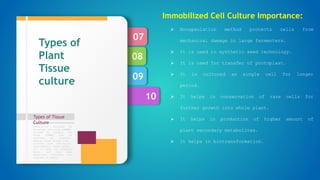 10
09
08
07
Types of Tissue
Culture
Formulation designed by
Murashige and Skoog (1962),
revised by Linsmair and
Skoog (1965) can be
regarded as standard.
Special plant groups like
conifers have nutritional
requirements, which appear,
not to meet by standard
media, and then some
additional nutrients are
required in media.
Types of
Plant
Tissue
culture
Immobilized Cell Culture Importance:
 Encapsulation method protects cells from
mechanical damage in large fermenters.
 It is used in synthetic seed technology.
 It is used for transfer of protoplast.
 It is cultured as single cell for longer
period.
 It helps in conservation of rare cells for
further growth into whole plant.
 It helps in production of higher amount of
plant secondary metabolites.
 It helps in biotransformation.
 