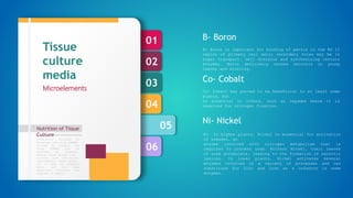 06
05
04
03
02
01
Nutrition of Tissue
Culture
Formulation designed by
Murashige and Skoog (1962),
revised by Linsmair and
Skoog (1965) can be
regarded as standard.
Special plant groups like
conifers have nutritional
requirements, which appear,
not to meet by standard
media, and then some
additional nutrients are
required in media.
Tissue
culture
media
Microelements
B- Boron is important for binding of pectin in the RG II
region of primary cell wall; secondary roles may be in
sugar transport, cell division and synthesizing certain
enzymes. Boron deficiency causes necrosis in young
leaves and stunting.
B- Boron
Co- Cobalt has proved to be beneficial to at least some
plants, but
is essential in others, such as legumes where it is
required for nitrogen fixation.
Co- Cobalt
Ni- In higher plants, Nickel is essential for activation
of ureases, an
enzyme involved with nitrogen metabolism that is
required to process urea. Without Nickel, toxic leaves
of urea accumulate, leading to the formation of necrotic
lesions. In lower plants, Nickel activates several
enzymes involved in a variety of processes and can
substitute for Zinc and iron as a cofactor in some
enzymes.
Ni- Nickel
 