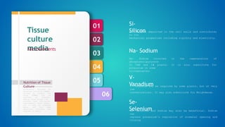 06
05
04
03
02
01
Nutrition of Tissue
Culture
Formulation designed by
Murashige and Skoog (1962),
revised by Linsmair and
Skoog (1965) can be
regarded as standard.
Special plant groups like
conifers have nutritional
requirements, which appear,
not to meet by standard
media, and then some
additional nutrients are
required in media.
Tissue
culture
media
Microelements
Si- Silicon deposited in the cell walls and contributes
to its
mechanical properties including rigidity and elasticity.
Si-
Silicon
Na- Sodium involved in the regeneration of
phosphoenolpyruvate
in CAM and C4 plants. It is also substitute for
potassium in some
circumstances.
Na- Sodium
V- Vanadium may be required by some plants, but at very
low
concentrations. It may also substitute for Molybdenum.
V-
Vanadium
Se- Selenium and Sodium may also be beneficial. Sodium
can
replace potassium’s regulation of stomatal opening and
closing.
Se-
Selenium
 