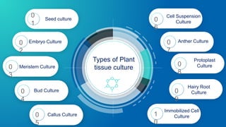 Embryo Culture
Improve
Bioavailability
0
1
Seed culture
Cell Suspension
Culture
Anther Culture
Protoplast
Culture
Improved Half
Life
Types of Plant
tissue culture
Bud Culture
Meristem Culture
Hairy Root
Culture
Improved Half
Life
Callus Culture
Immobilized Cell
Culture
0
2
0
3
0
4
0
5
0
6
0
7
0
8
1
0
0
9
 