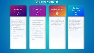 V i t a m i n s
A
Plants can produce their
requirements of vitamins.
However, plant cell cultures
need to be supplemented with
certain vitamins like
• Thiamine (vit B1),
• Niacin (vit B3), Pyridoxine
(vit B6),
• Myo-inositol
• (Member of the vit. B
complex).
Organic Nutrients
V i t a m i n s
A
• Thiamine – Involved in the
direct biosynthesis of
certain amino acids and
• essential co-factor of
carbohydrates metabolism.
• Vit E – Antioxidants.
• Vit C- To prevent blacking
during explant isolation.
• Vit D- Growth regulatory
effect
A m i n o A c i d s
B
Glycine- has little benefit in the
growth of plant. They may be
directly utilized by plant own be
provided as N2 source.
C a r b o n
S o u r c e s
C
Sucrose (is most commonly
used carbon source) at a
concentration of 3%, glucose
and fructose also known to
support plant
growth. Sucrose in the medium
is necessary for various
metabolic activities.
 