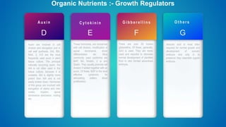 A u x i n
D
Auxin are involved in cell
division and elongation and in
cell wall synthesis. IAA, IBA,
NAA, 2, 4-D are the most
frequently used auxin in plant
tissue culture. The principal
naturally occurring auxin, the
IAA is not often used in the
tissue culture, because it is
unstable. IBA is slightly more
potent than IAA and is not
easily broken down. Hormones
of this group are involved with
elongation of stems and inter
nodes, tropism, apical
dominance abscission, rooting
etc.
Organic Nutrients :- Growth Regulators
C y t o k i n i n
E
These hormones, are concerned
with cell division, modification of
apical dominance, shoot
differentiation etc. Most
commonly used cytokinins are
BAP, BA, Kinetin, 2 ip and
Zeatin. They usually promote cell
division if added together with an
auxin. Of these, BAP is the most
effective cytokinins for
stimulating axillary shoot
proliferation.
G i b b e r e l l i n s
F
There are over 20 known
gibberellins. Of these, generally,
GA3 is used. They are rarely
used and reported to stimulate
normal development of plantlets
from in vitro formed adventives
embryos.
O t h e r s
G
Abscisic acid is most often
required for normal growth and
development of somatic
embryos and only in its
presence they resemble zygotic
embryos.
 