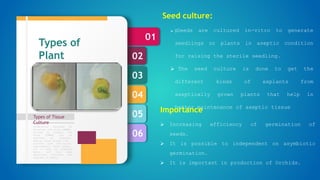 06
05
04
03
02
01
Types of Tissue
Culture
Formulation designed by
Murashige and Skoog (1962),
revised by Linsmair and
Skoog (1965) can be
regarded as standard.
Special plant groups like
conifers have nutritional
requirements, which appear,
not to meet by standard
media, and then some
additional nutrients are
required in media.
Types of
Plant
Tissue
culture
Seed culture:
 Seeds are cultured in-vitro to generate
seedlings or plants in aseptic condition
for raising the sterile seedling.
 The seed culture is done to get the
different kinds of explants from
aseptically grown plants that help in
better maintenance of aseptic tissue
Importance
 Increasing efficiency of germination of
seeds.
 It is possible to independent on asymbiotic
germination.
 It is important in production of Orchids.
 