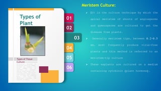 06
05
04
03
02
01
Types of Tissue
Culture
Formulation designed by
Murashige and Skoog (1962),
revised by Linsmair and
Skoog (1965) can be
regarded as standard.
Special plant groups like
conifers have nutritional
requirements, which appear,
not to meet by standard
media, and then some
additional nutrients are
required in media.
Types of
Plant
Tissue
culture
Meristem Culture:
 It is the culture technique by which the
apical meristem of shoots of angiosperms
and gymnosperms are cultured to get the
disease free plants.
 Generally meristem tips, between 0.2-0.5
mm, most frequently produce virus-free
plants and this method is referred to as
meristem-tip culture
 These explants are cultured on a medium
containing cytokinin (plant hormone).
 