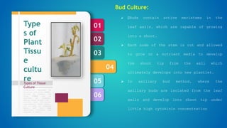 06
05
04
03
02
01
Types of Tissue
Culture
Formulation designed by
Murashige and Skoog (1962),
revised by Linsmair and
Skoog (1965) can be
regarded as standard.
Special plant groups like
conifers have nutritional
requirements, which appear,
not to meet by standard
media, and then some
additional nutrients are
required in media.
Type
s of
Plant
Tissu
e
cultu
re
Bud Culture:
 Buds contain active meristems in the
leaf axils, which are capable of growing
into a shoot.
 Each node of the stem is cut and allowed
to grow on a nutrient media to develop
the shoot tip from the axil which
ultimately develops into new plantlet.
 In axillary bud method, where the
axillary buds are isolated from the leaf
axils and develop into shoot tip under
little high cytokinin concentration
 