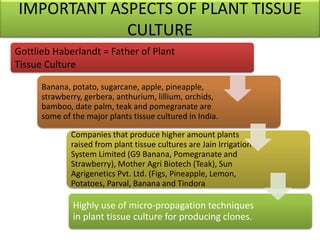 Plant tissue culture introduction | PPTX