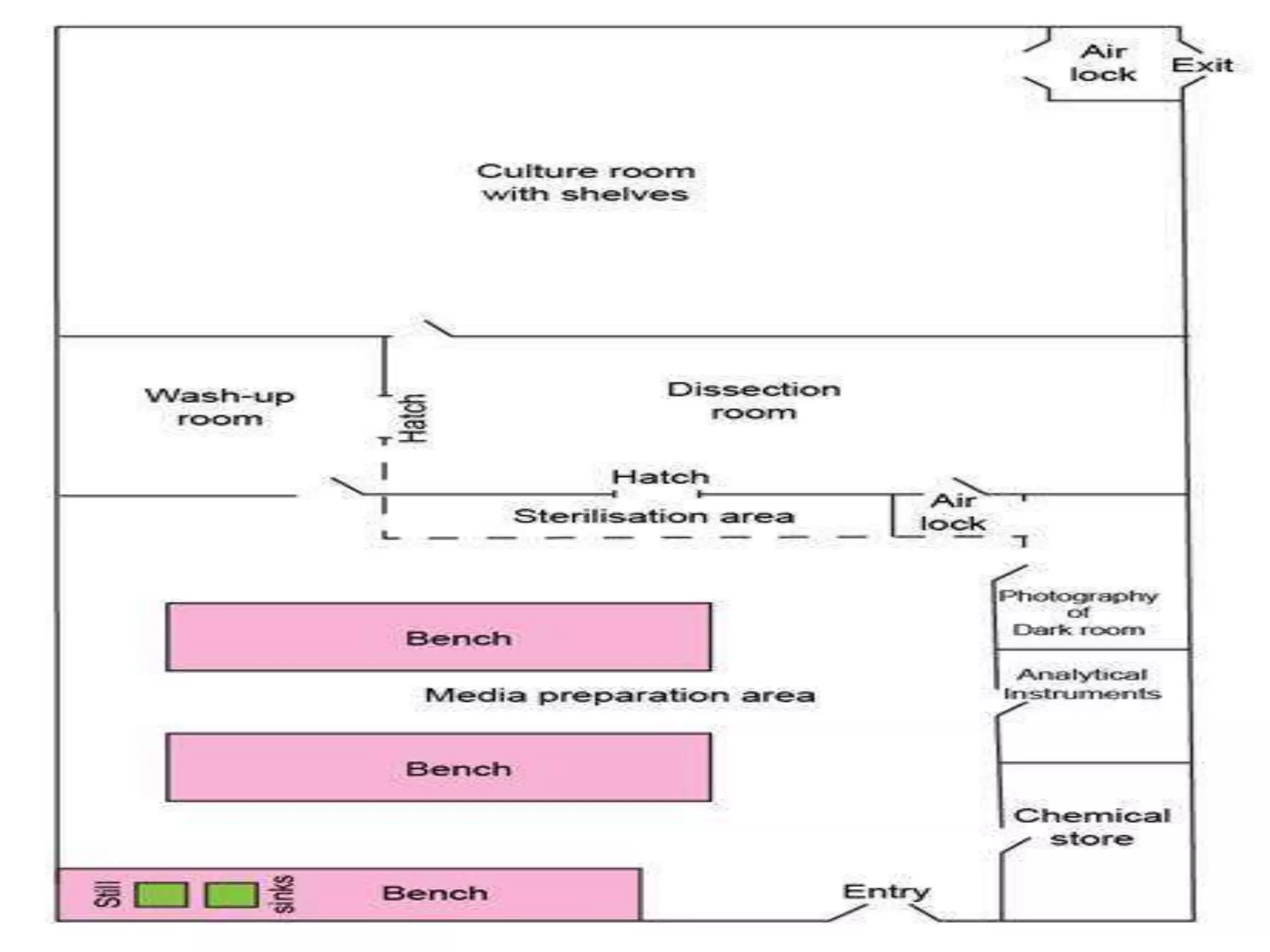 Plant tissue culture laboratory | PPTX, image size:2048x1536