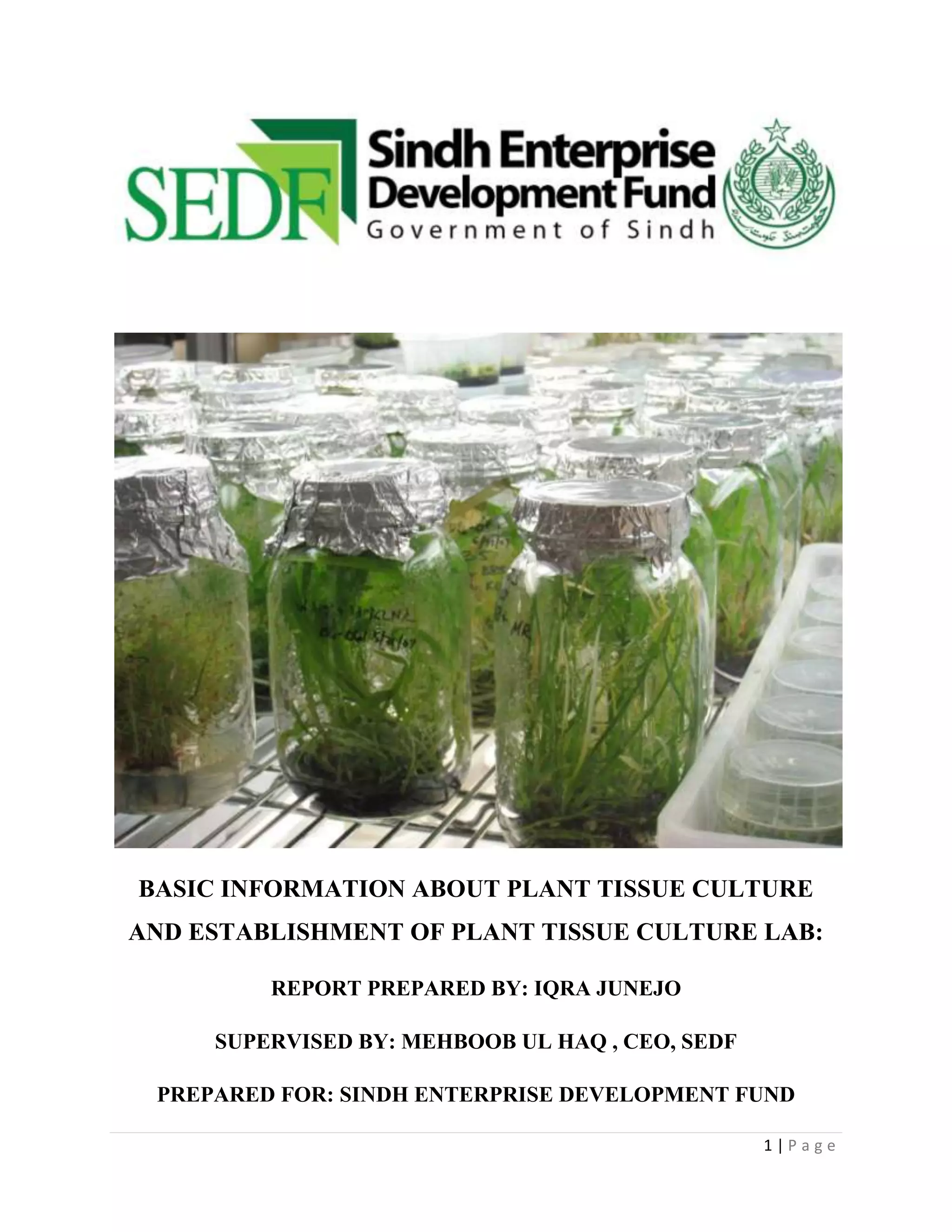 BASIC INFORMATION ABOUT PLANT TISSUE CULTURE
AND ESTABLISHMENT OF PLANT TISSUE CULTURE LAB:
REPORT PREPARED BY: IQRA JUNEJO
SUPERVISED BY: MEHBOOB UL HAQ , CEO, SEDF
PREPARED FOR: SINDH ENTERPRISE DEVELOPMENT FUND
1|Page

 