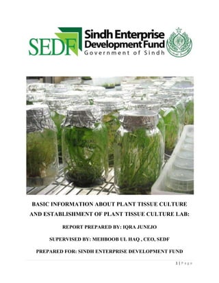 BASIC INFORMATION ABOUT PLANT TISSUE CULTURE
AND ESTABLISHMENT OF PLANT TISSUE CULTURE LAB:
REPORT PREPARED BY: IQRA JUNEJO
SUPERVISED BY: MEHBOOB UL HAQ , CEO, SEDF
PREPARED FOR: SINDH ENTERPRISE DEVELOPMENT FUND
1|Page

 