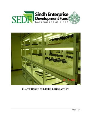 Plant tissue culture lab,sedf