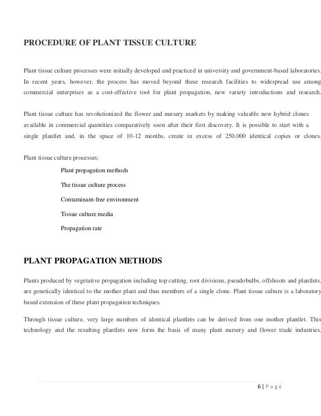 Plant tissue culture lab,sedf