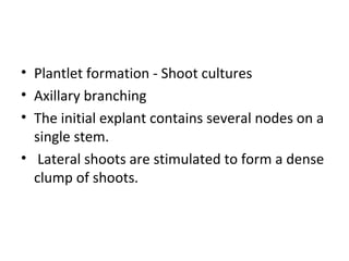 • Plantlet formation - Shoot cultures
• Axillary branching
• The initial explant contains several nodes on a
single stem.
• Lateral shoots are stimulated to form a dense
clump of shoots.
 