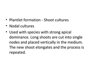 • Plantlet formation - Shoot cultures
• Nodal cultures
• Used with species with strong apical
dominance. Long shoots are cut into single
nodes and placed vertically in the medium.
The new shoot elongates and the process is
repeated.
 