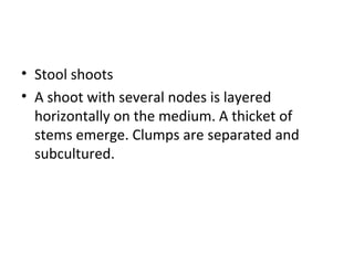 • Stool shoots
• A shoot with several nodes is layered
horizontally on the medium. A thicket of
stems emerge. Clumps are separated and
subcultured.
 