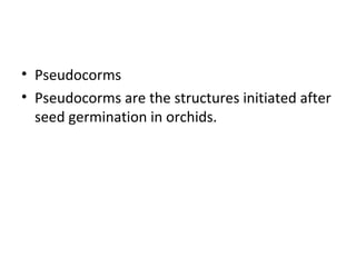 • Pseudocorms
• Pseudocorms are the structures initiated after
seed germination in orchids.
 