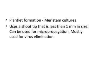 • Plantlet formation - Meristem cultures
• Uses a shoot tip that is less than 1 mm in size.
Can be used for micropropagation. Mostly
used for virus elimination
 