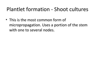Plantlet formation - Shoot cultures
• This is the most common form of
micropropagation. Uses a portion of the stem
with one to several nodes.
 