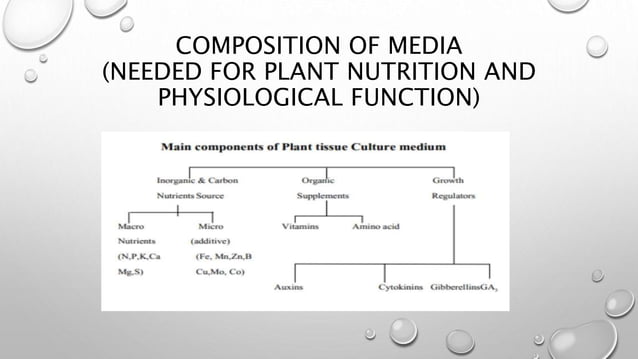 Plant tissue culture media | PPTX