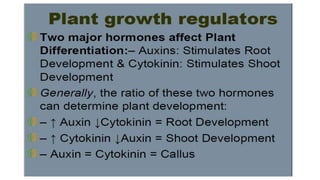 Plant tissue culture media components | PPT