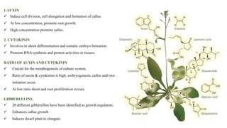 Plant tissue culture Media Composition_Dr.Sivagamasundari_LS_KJU..pdf