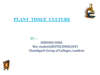 PLANT TISSUE CULTURE
BY :-
HIMANSI SURA
Msc student(BIOTECHNOLOGY)
Chandigarh Group of Colleges, Landran
 
