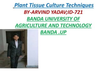 Plant Tissue Culture Techniques
BY-ARVIND YADAV;ID-721
BANDA UNIVERSITY OF
AGRICULTURE AND TECHNOLOGY
BANDA .UP
 