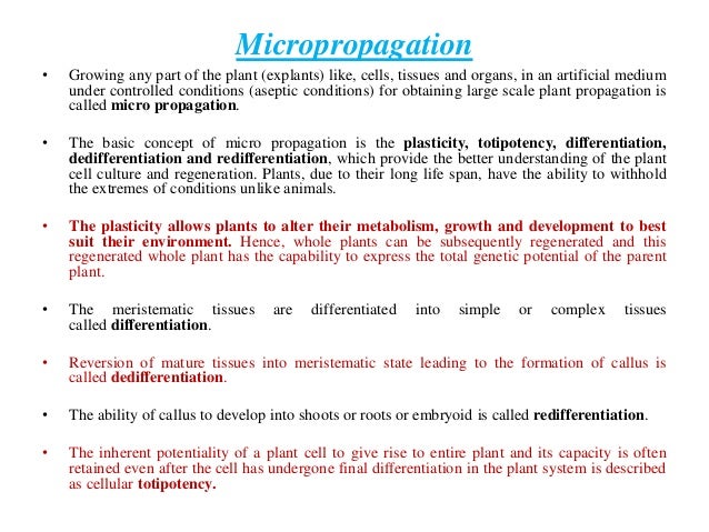 Plant Tissue Culture Techniques