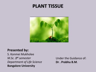PLANT TISSUE
Presented by:
S. Konmei Mukholee
M.Sc. 1st semester
Department of Life Science
Bangalore University
Under the Guidance of:
Dr . Prabhu B.M.
 