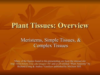 Plant Tissues: Overview Meristems, Simple Tissues, & Complex Tissues Many of the figures found in this presentation are from the internet site  http://botit.botany.wisc.edu/images/130/  and a CD entitled “Plant Anatomy” by Richard Crang & Andrey Vassilyev published by McGraw Hill.  