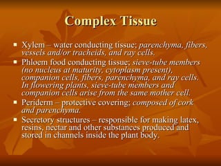 Complex Tissue Xylem – water conducting tissue;  parenchyma, fibers, vessels and/or tracheids, and ray cells.   Phloem food conducting tissue;  sieve-tube members (no nucleus at maturity, cytoplasm present), companion cells, fibers, parenchyma, and ray cells.  In flowering plants, sieve-tube members and companion cells arise from the same mother cell.  Periderm – protective covering;  composed of cork and parenchyma. Secretory structures  –  responsible for making latex, resins, nectar and other substances produced and stored in channels inside the plant body.  